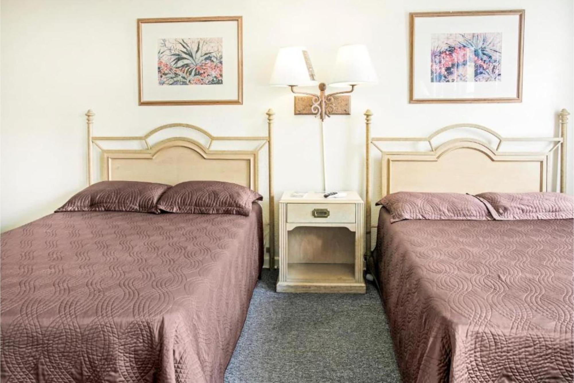 Oyo Historic Cameron Hotel Brownsville I-69E Екстер'єр фото